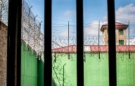 Hartazgo en prisión por una plaga de chinches desde hace 1 año