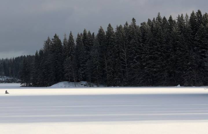 Sweden and Finland urge revision of EU’s forestry climate targets