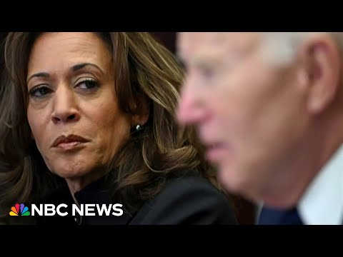 Harris calls Biden's decision to run for re-election 'recklessness' in memoir