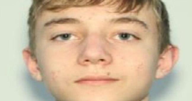 What we know about the alleged Evergreen High School shooter