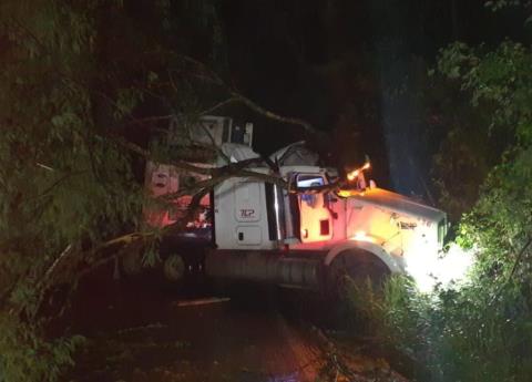 TRÁILER SE SALIÓ DE LA CARRETERA