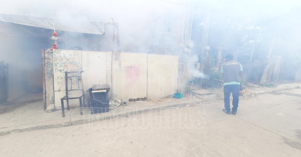 Activan fumigación urgente por brote de dengue en colonias del norte de Tampico