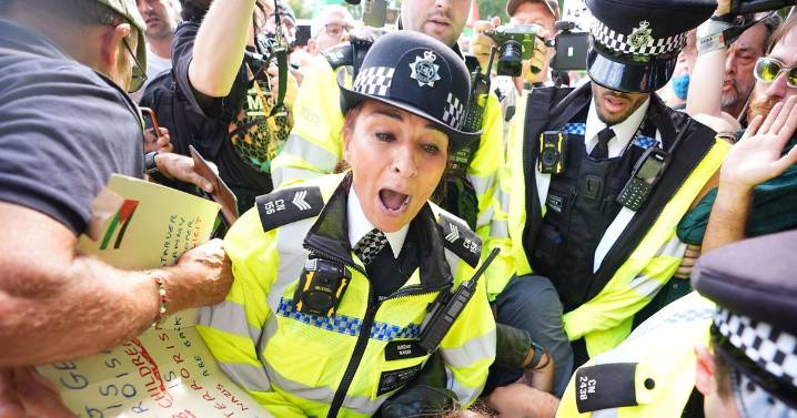 Met Police arrest nearly 900 Palestine Action supporters in London protest