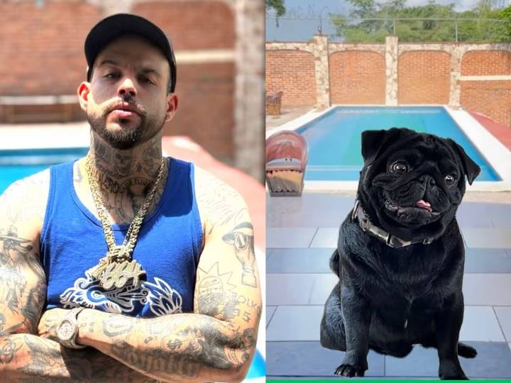 “Yo soy el que ladra”: el perro de Pepe Aguilar se disculpa tras burlas a Emiliano Aguilar