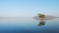 4 Beautiful lakes near Hyderabad that come alive in rainy season