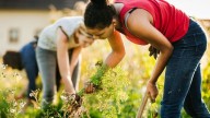 How to get rid of weeds for good, according to a gardening expert 