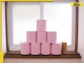 ‘Why pink?’: Why French people don’t use white toilet paper