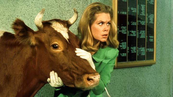 My favorite classic sitcom is now streaming on Hulu — watch 8 seasons of supernatural silliness