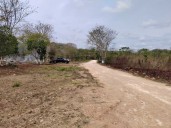 Crece población en colonia irregular ubicada a las afueras de la cabecera de José María Morelos