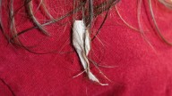 No cortes tu cabello: el truco de las abuelas para quitar el chicle pegado en minutos y con cero dramas