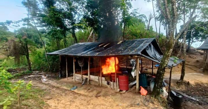 Coca para todos los grupos ilegales: destruyen cuatro laboratorios en el Bajo Cauca