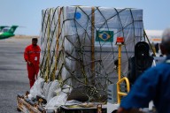 EN FOTOS: Llegaron 300.000 vacunas contra la tuberculosis, esto dijo la ministra de Salud