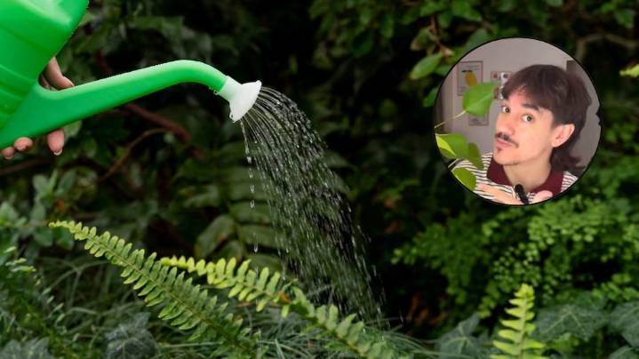 Nacho Legeren, experto en plantas: “No hagas esto al regarlas, podés matarlas”