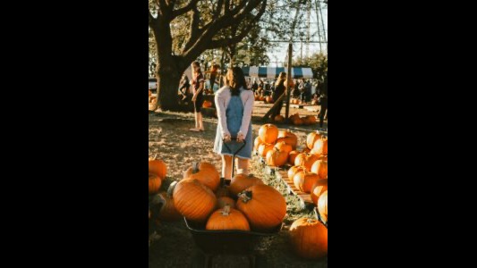 South SnoCo Playtime: Your Family Fun Guide for Sept. 28