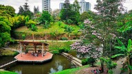 Tres destinos imperdibles cerca de Armenia: naturaleza, cultura y descanso en el corazón del Quindío