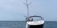 Varias orcas hunden un yate frente a la costa portuguesa: “Dos o tres golpes, suficientes para romper el casco”