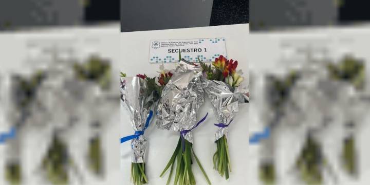 Un adolescente robó tres ramos de flores para regalarle a su novia y fue detenido en La Plata