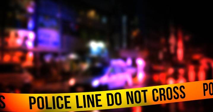 Science Hill man arrested after Wayne County wreck, foot chase