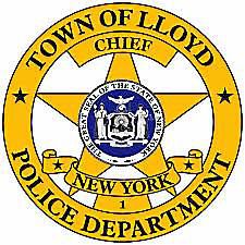 Man sues Lloyd police, officer, alleging excessive force
