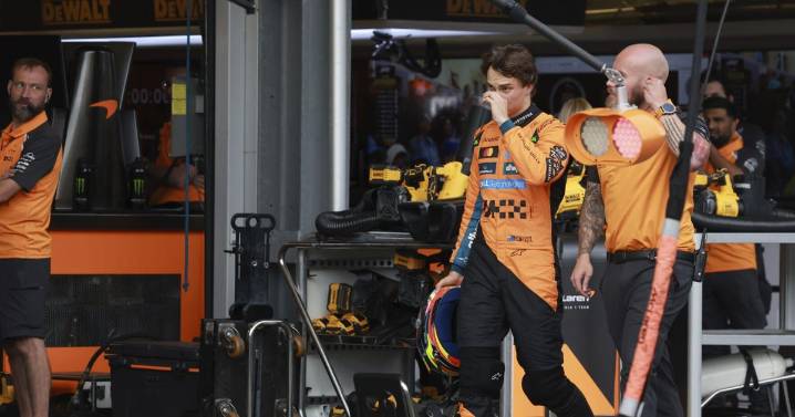 Verstappen claims F1 pole as Piastri crashes in chaotic qualifying