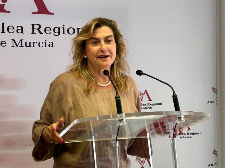 Carmina Fernández: “El PP está abonado a los bulos, ha convertido las ruedas de prensa del Consejo de Gobierno en un recital de mentiras”