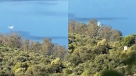 Un helicóptero se estrella en un pantano de Cádiz y los pilotos salen ilesos y a nado