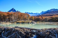 En noviembre habrá fin de semana largo de cuatro días