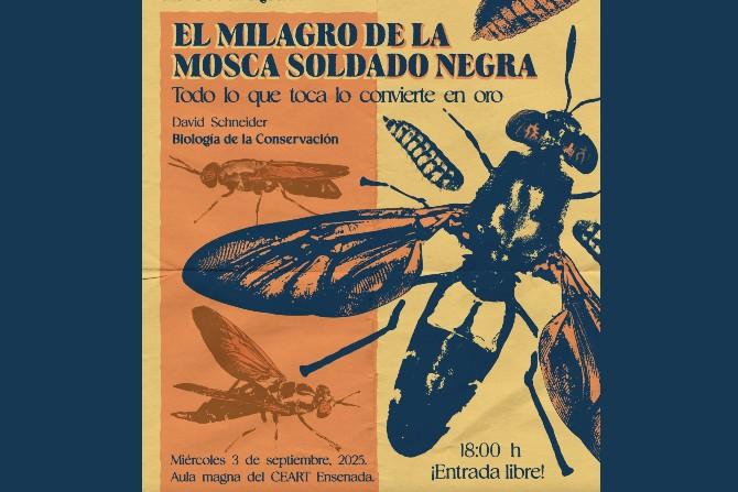 El milagro de la mosca soldado negra