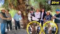 Árboles de más de 200 años fueron declarados como patrimonio