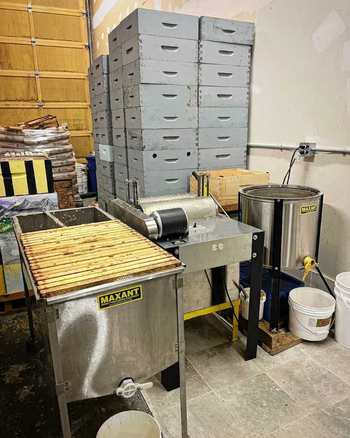 Thousands of 'robber bees' invade B.C. apiarist's shop in attempted honey heist