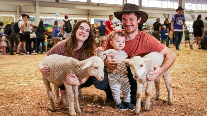 Perth Royal Show: From cows to snakes, to clowns and rides, WA’s favourite show has it all