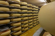 Cheese Recall Update: Highest Risk Warning Issued in Four States