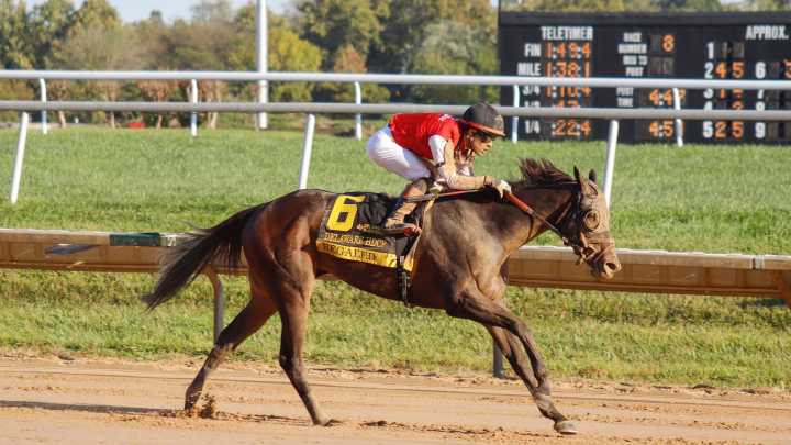 In Delaware Handicap at Delaware Park, Regaled splashes to muddy win