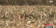 Farmers protecting against field fires during dry conditions