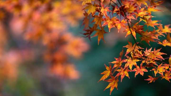 Primer día de chaqueta en verano: la AEMET decreta un jueves que predice al inmimente otoño