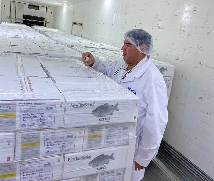 Argentina exportó 8200 kilogramos de carne de pacú desde Chaco a Estados Unidos