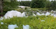 Midcoast Regional Redevelopment Authority settles with federal regulators over PFAS spill