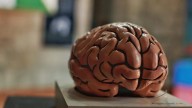 No permitas que el Alzheimer llegue a tu vida