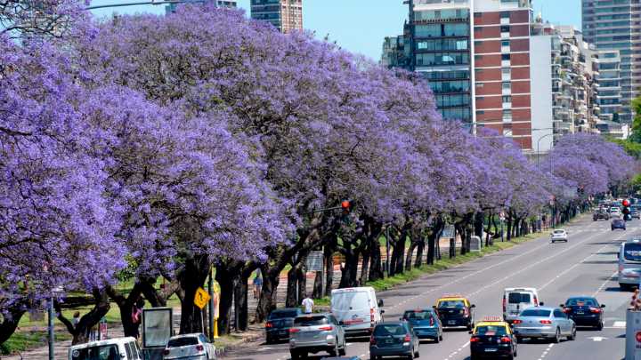 Legislatura: primer paso para el adeudado Código Ambiental
