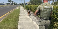 K9 locates 93-year-old with dementia who wandered into water