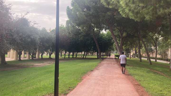 Un ciberataque ruso deja sin riego el Jardín del Turia de Valencia