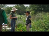 In Detroit, a public garden thrives with help from an army of volunteers