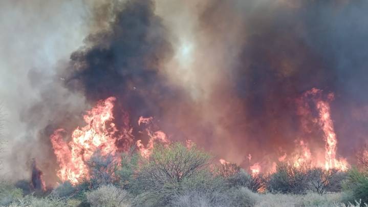 Incendio forestal activo en San Blas de Los Sauces obligó a evacuar una vivienda