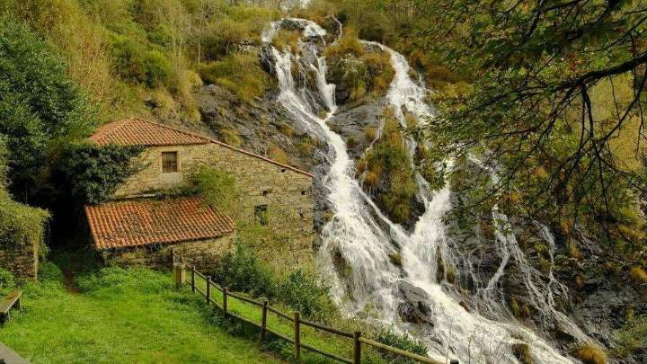 Este bosque gallego repleto de castaños y robles culmina en una de las cascadas más bonitas de Galicia: a 1 hora de A Coruña