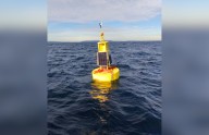 Boya Posar se integró a la red del Copas Coastal: más capacidades para observar y aportar a Biobío