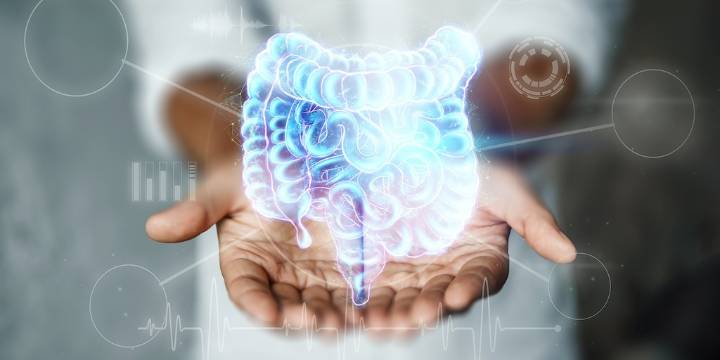 5 hábitos que dañan la salud intestinal, según expertos
