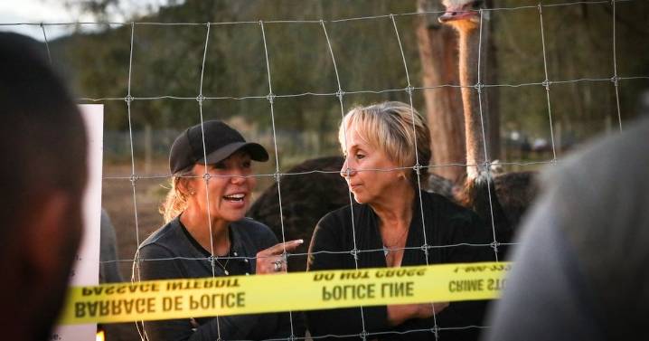 B.C. ostrich farm: 2 arrested during CFIA inspection