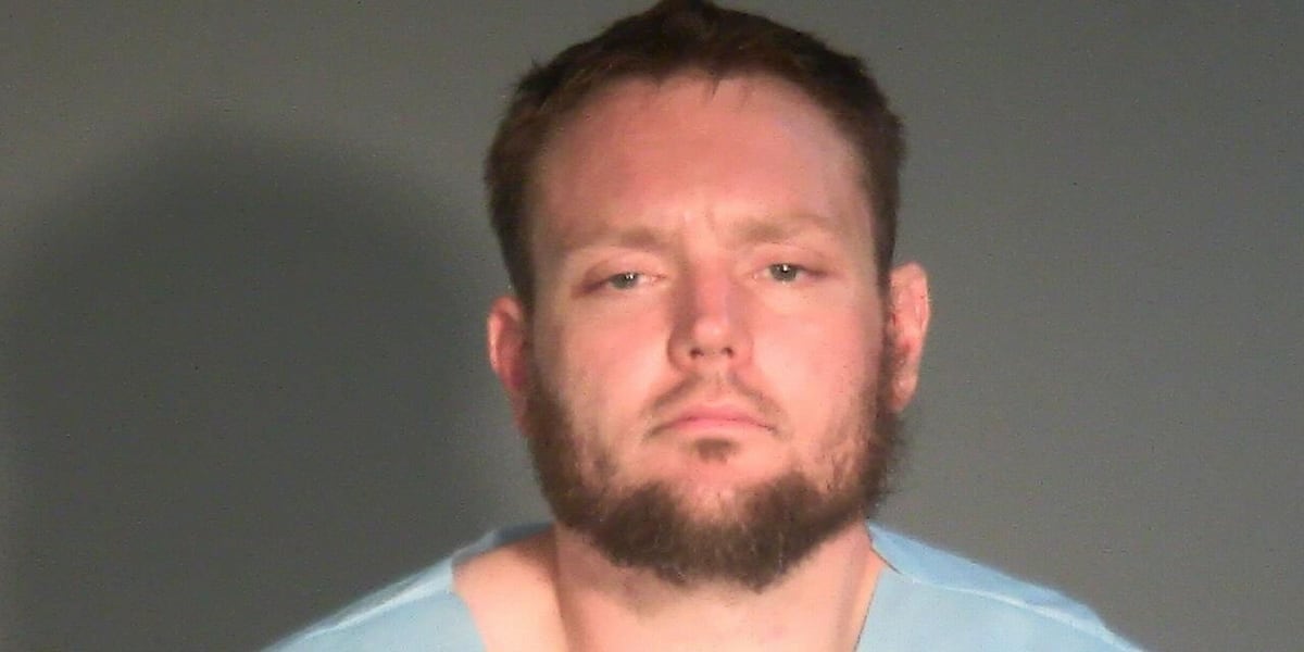 Ripon man charged in hatchet attack uses insanity defense; judge orders exam