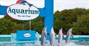 Ponen fin a los espectáculos marinos por las malas condiciones y preocupa el destino de los delfines