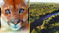 El humedal más grande del mundo: Los peligros que enfrenta el Pantanal por el cambio climático